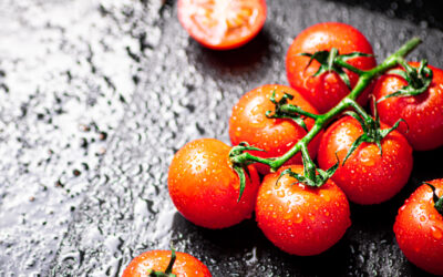 Coltivazione del pomodoro: il re dell’orto!